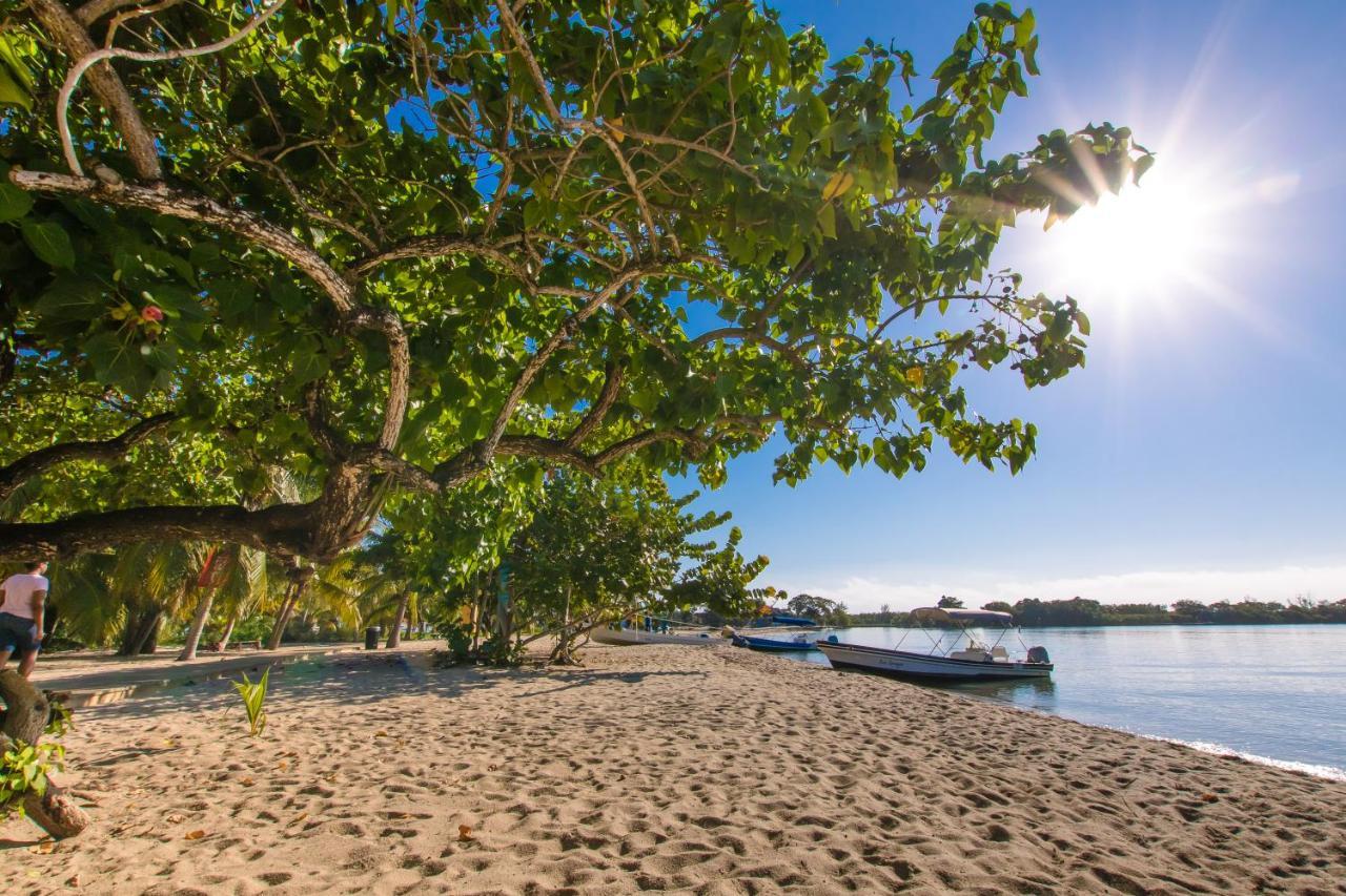 Khalkob'S Estate Lägenhet Placencia Exteriör bild