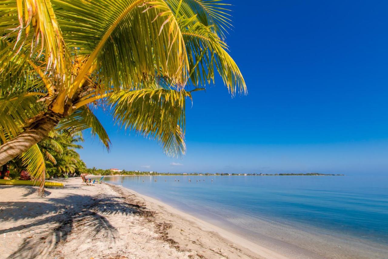 Khalkob'S Estate Lägenhet Placencia Exteriör bild
