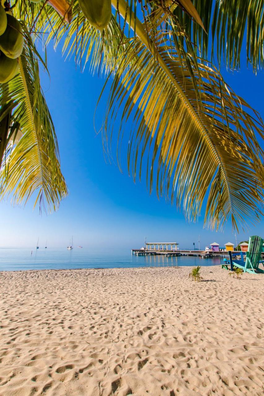 Khalkob'S Estate Lägenhet Placencia Exteriör bild