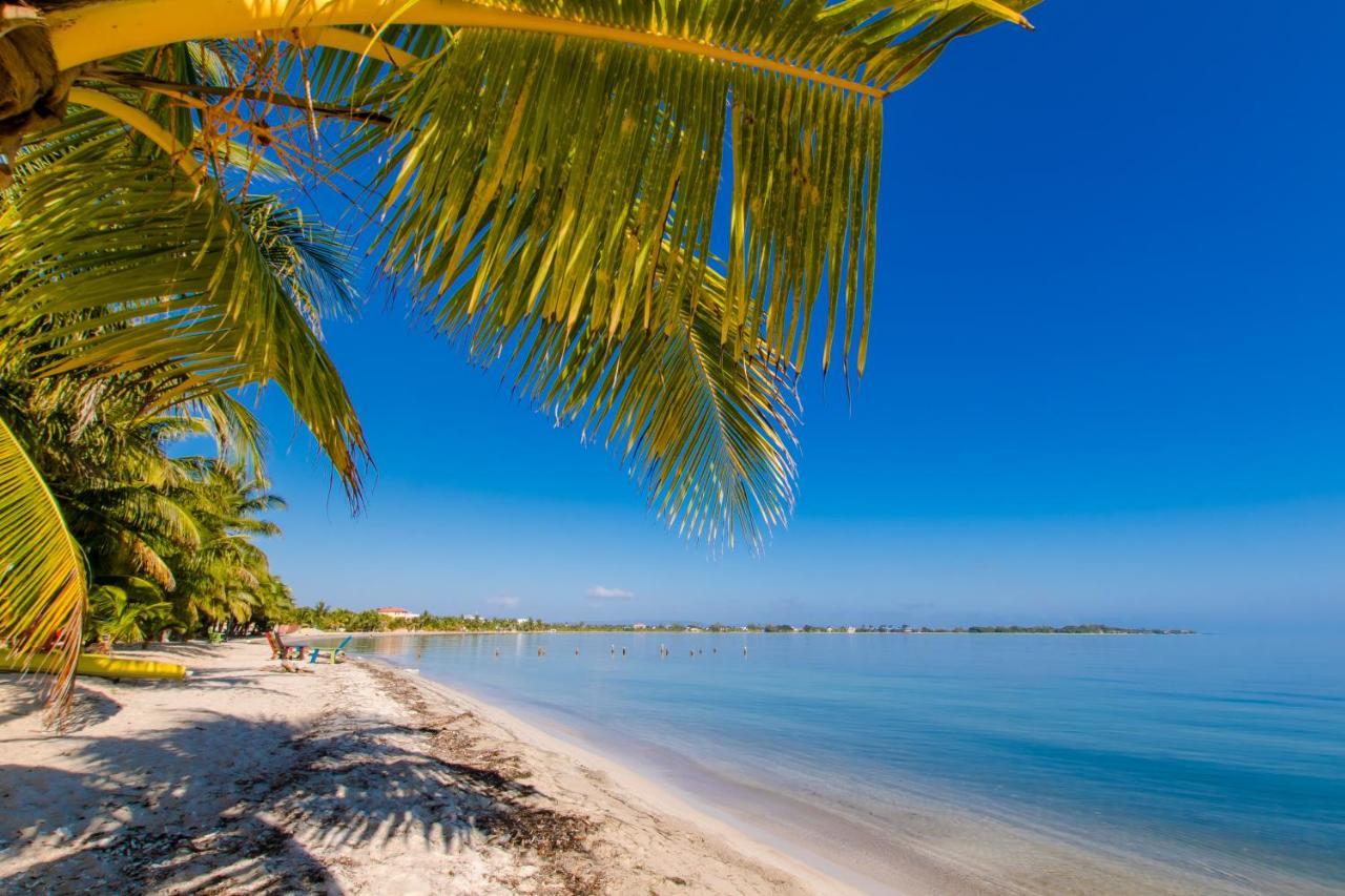 Khalkob'S Estate Lägenhet Placencia Exteriör bild