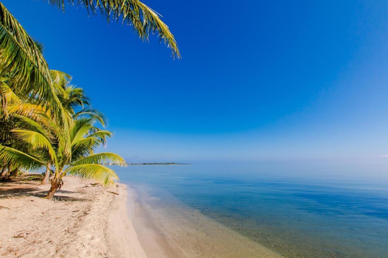 Khalkob'S Estate Lägenhet Placencia Exteriör bild