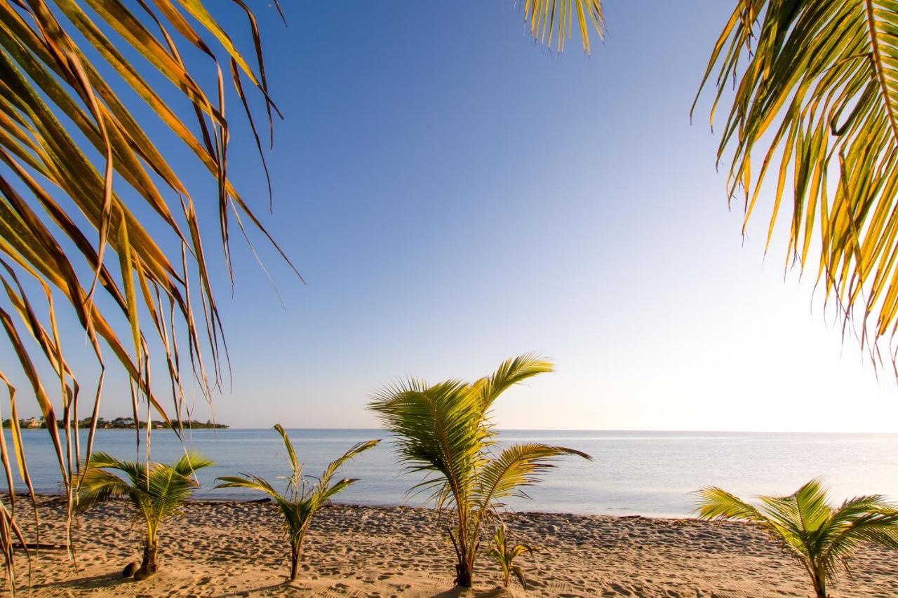 Khalkob'S Estate Lägenhet Placencia Exteriör bild